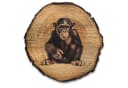 DARO Design Rundes Wandbild Baumrindenscheibe Braun Tiermotiv Bild 2