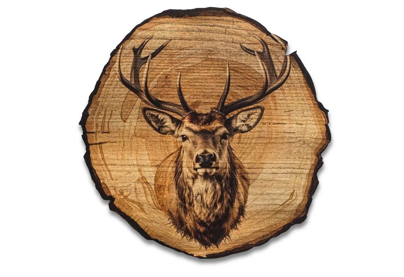 DARO Design Rundes Wandbild Hirschbaumrindenoptik Ø20cm Braun - Bild 2