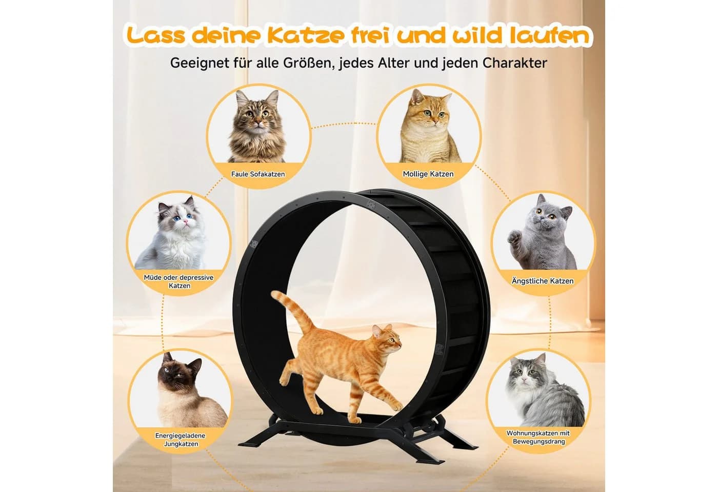 COMHOMA Katzenlaufrad Schwarz Metall Ultraleis - Bild 4