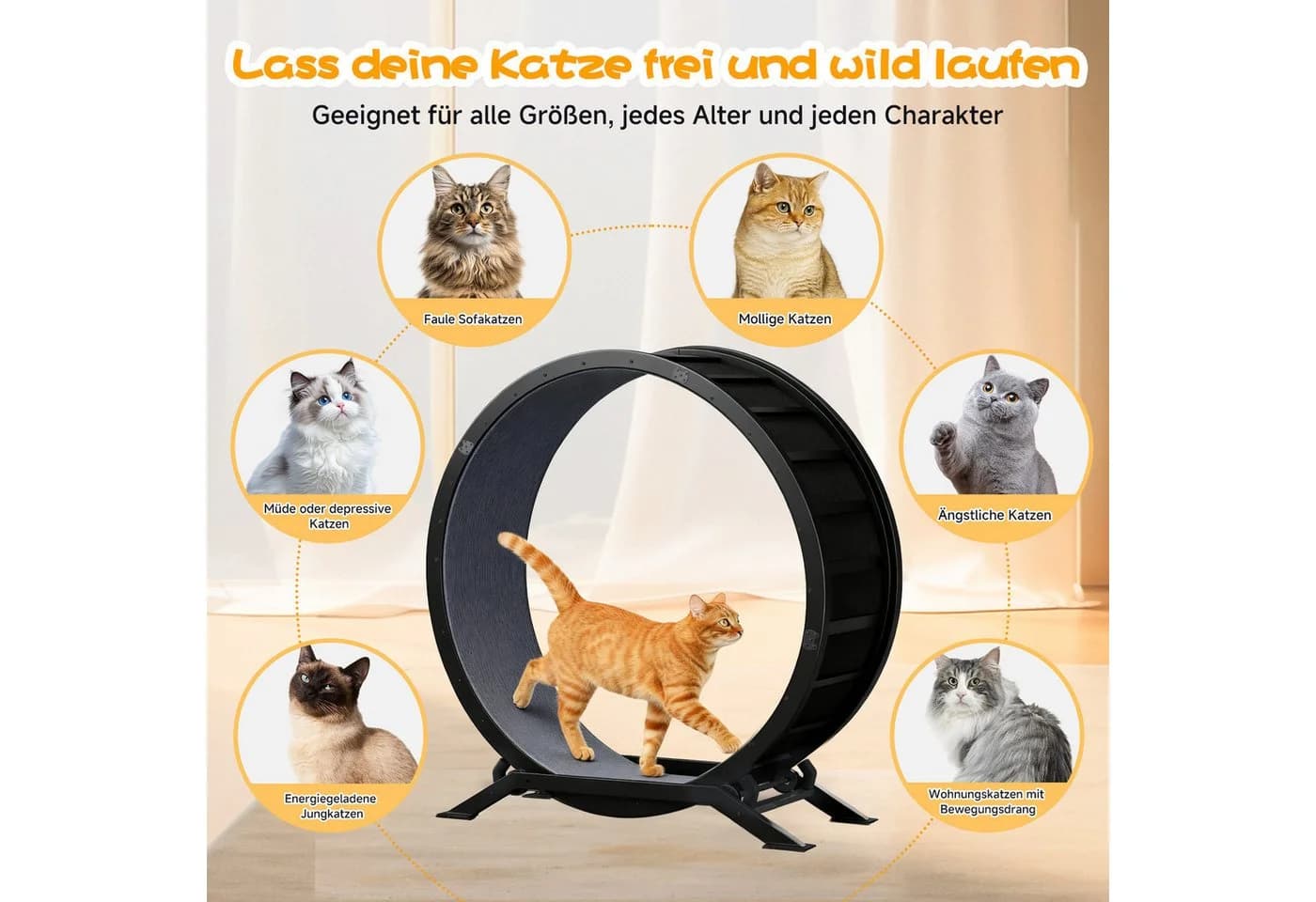 COMHOMA Katzenlaufrad 100 cm Schwarz Metall Ultraleis - Bild 5