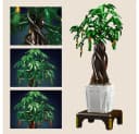 COIL Spielbausteine Bonsai-Baum 815 Teile Glücksbaum Wohndekor Bild 5