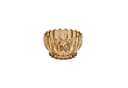 Sunay Dessertschale 12-tlg. Glas Lotus Design Gold Transparent Bild 1