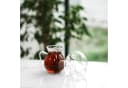 Almina Teeglas Serin 6-teiliges Set mit Henkel Transparent Bild 1