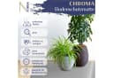Nova Forma Bodenschutzmatte CHROMA Bunte Stuhlmatte Bild 1