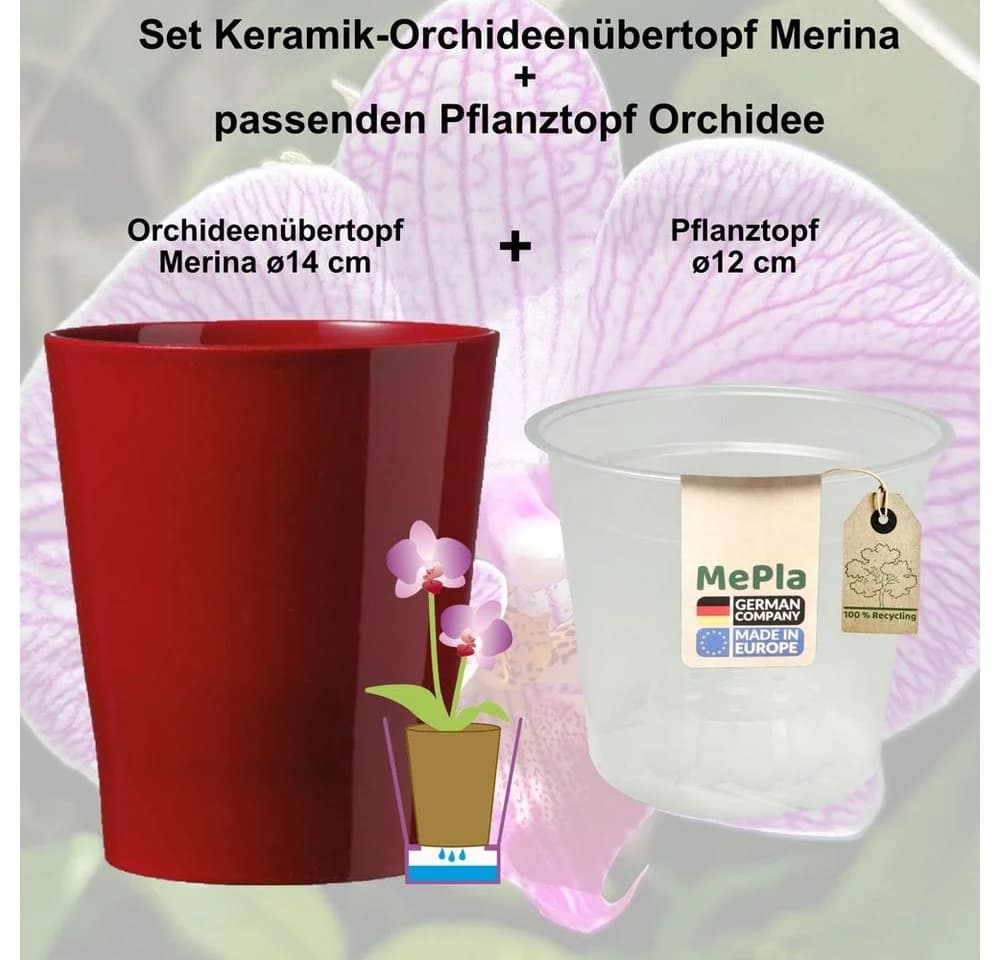 Heimwerkercenter Übertopf Merina Bordeaux + Pflanztopf MePla Orchideen-Set