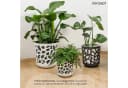 KONZEPT Blumentopf Übertopf Kunststoff Anthrazit/Creme 2er Set Bild 3