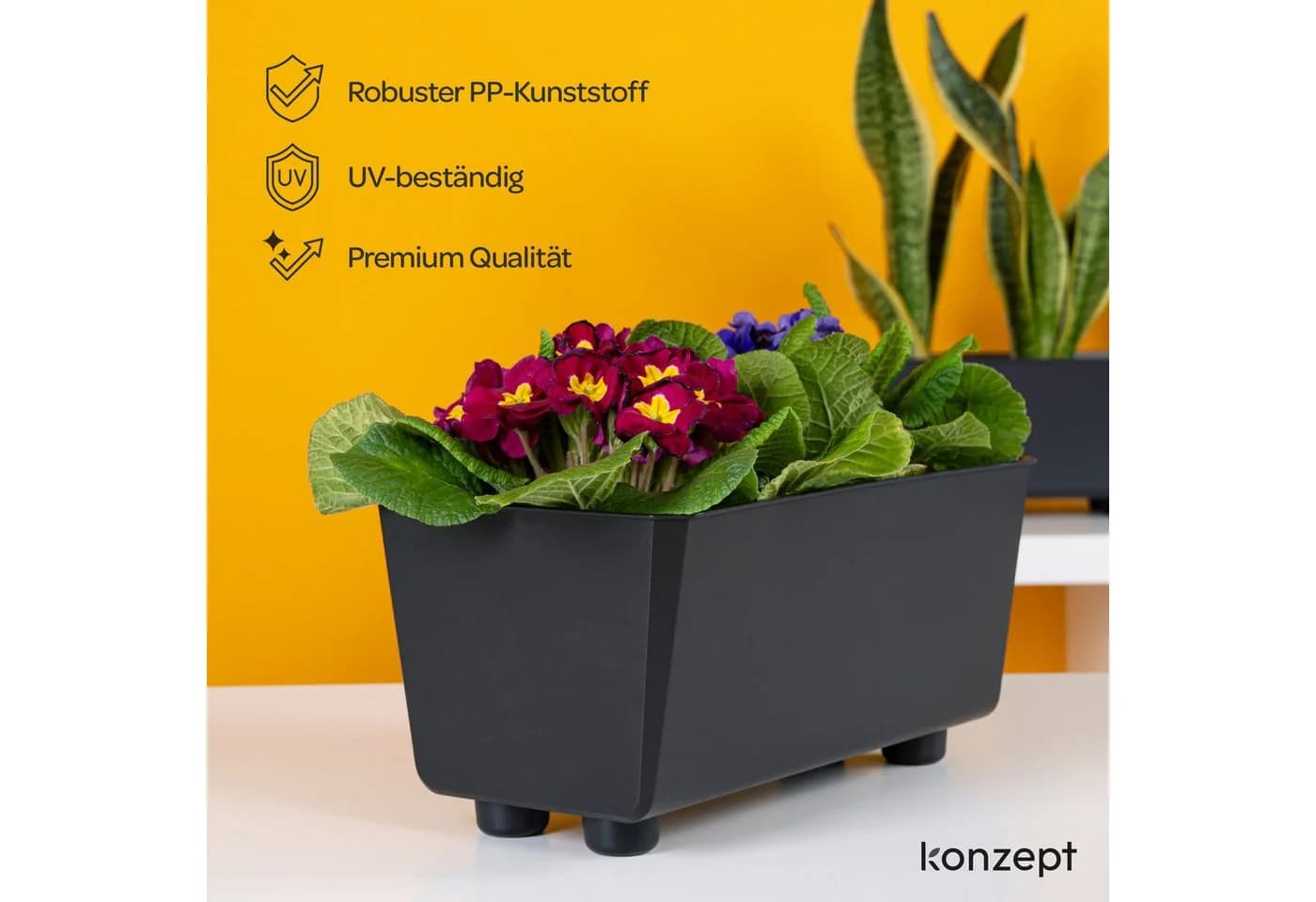 KONZEPT Blumenkasten Blumentöpfe mit Füßen, rechteckig – kleine Blumenkästen 4,2 L (1 St), ideal für Fensterbank & Zimmerpflanzen - Bild 4