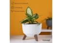 KONZEPT Blumentopf Pflanzschale Weiß mit Füßen und Wasserabfluss Bild 1