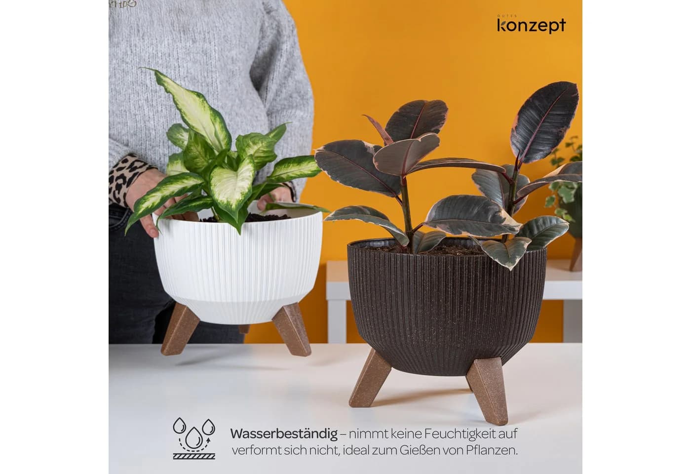 KONZEPT Blumentopf Pflanzschale Weiß mit Füßen und Wasserabfluss - Bild 4