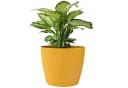 KONZEPT Blumentopf 5,2 l Gelb Gerillte Struktur Bild 2