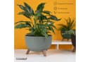 KONZEPT Blumentopf Pflanzenschale mit Füßen 33 cm Grau/Grün Bild 1