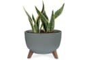 KONZEPT Blumentopf Pflanzenschale mit Füßen 33 cm Grau/Grün Bild 2