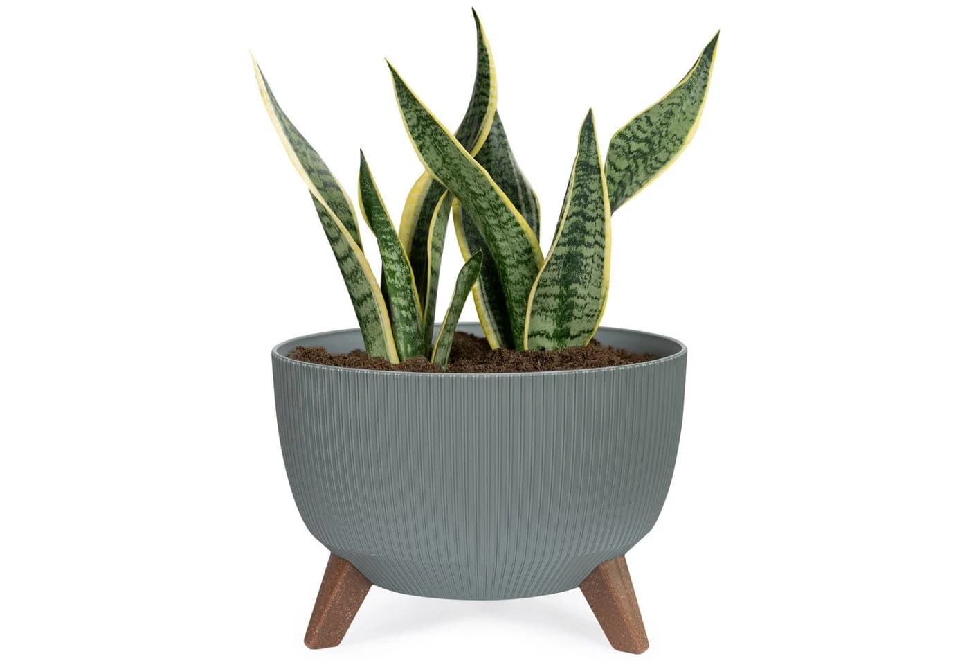 KONZEPT Blumentopf Pflanzenschale mit Füßen 33 cm Grau/Grün - Bild 2