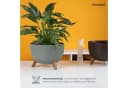 KONZEPT Blumentopf Pflanzenschale mit Füßen 33 cm Grau/Grün Bild 4