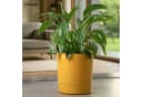 KONZEPT Blumentopf mit Untersetzer Gelb Kunststoff 32,5 cm Bild 3