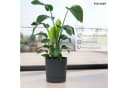 KONZEPT Blumentopf mit Untersetzer Grau Kunststoff 32,5 cm Bild 4