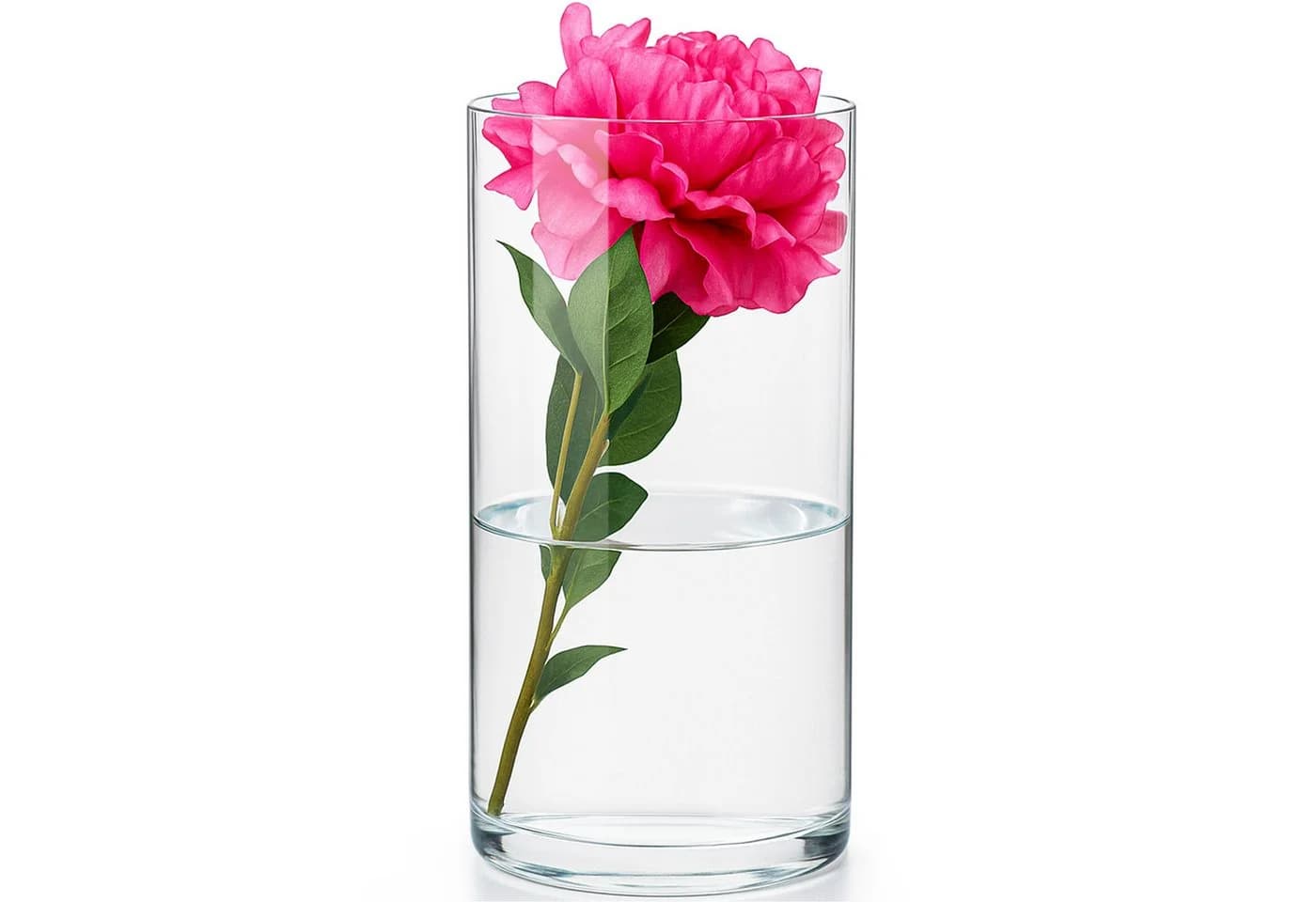KONZEPT Glasvase Zylinder Transparent Modern - Bild 2