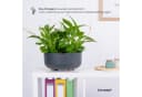 KONZEPT Blumentopf mit Füßen Ø 30 cm Schwarz Bild 4