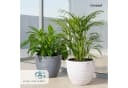 KONZEPT Blumentopf 39 cm Weiß Kunststoff mit Einsatz Bild 4