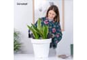 KONZEPT Blumentopf Kunststoff Weiß Konisch 19L UV-beständig Bild 1