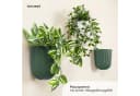 KONZEPT Blumentopf mit Wandbefestigung Grün Kunststoff Bild 1