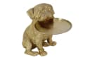 riess-ambiente Bulldogge 35cm Gold Spardose mit Ablageplatte Bild 4