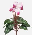 artplants Alpenveilchen Kunstblume auf Steckstab weiß-pink Bild 2