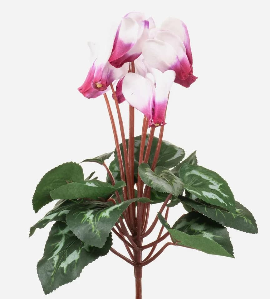 artplants Alpenveilchen Kunstblume auf Steckstab weiß-pink - Bild 2