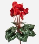 artplants Alpenveilchen Kunstblume Rot auf Steckstab 30cm Bild 2