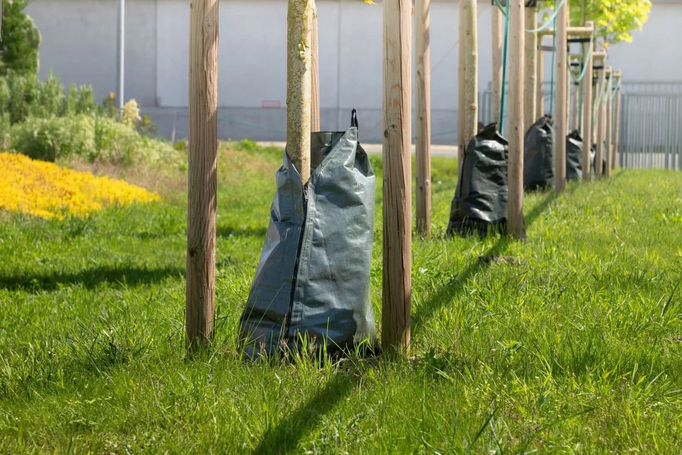 BURI Bewässerungssystem 5x Baum-Bewässerungssack mit Reißverschluss Grün - Bild 2