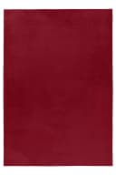 KADIMA DESIGN Teppich NECKAR Rot Kurzflor Maschinenwaschbar Bild 1