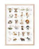 Pipapier Poster Kinderposter ABC mit Groß- u. Kleinbuchstaben Bunt Bild 2
