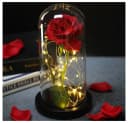 VERK GROUP Geschenkbox Ewige Rose im Glas mit LED-Licht Bild 1