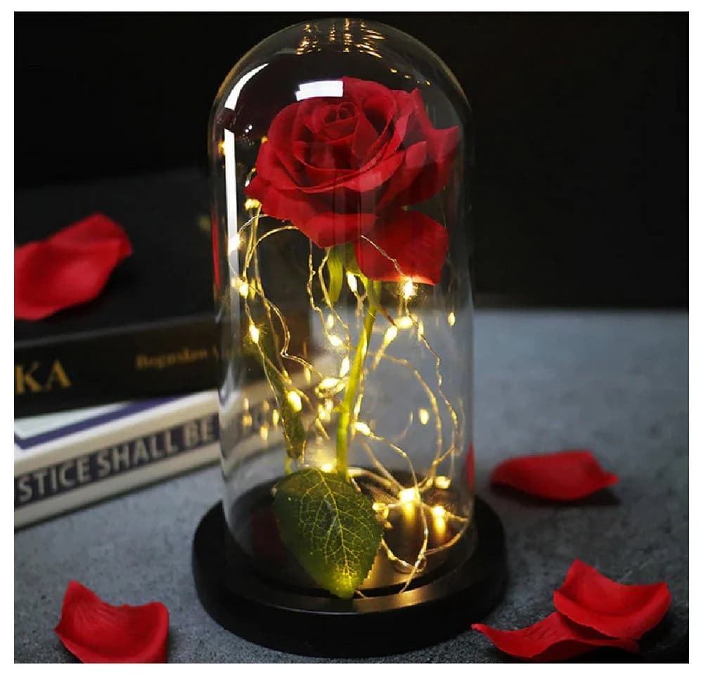 VERK GROUP Geschenkbox Ewige Rose im Glas mit LED-Licht