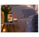 VERK GROUP Geschenkbox Ewige Rose im Glas mit LED-Licht Bild 4