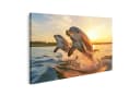 islandburner Wandbild Delphine Springen Sonnenuntergang Canvas 80x40 Bild 2