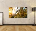islandburner Leinwandbild Olivenbaum 100x57cm Canvas Bild 1