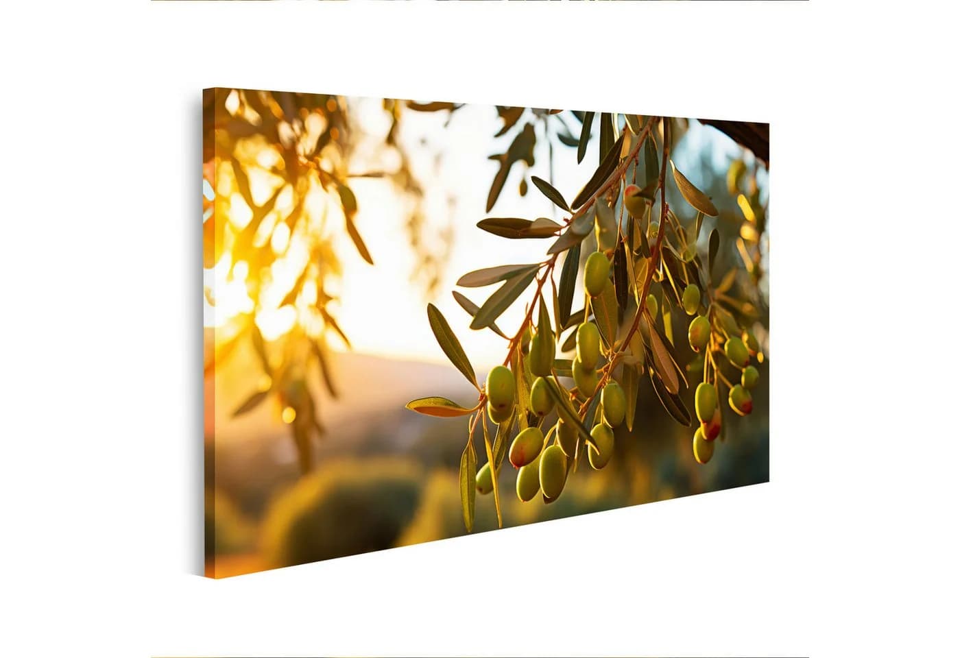 islandburner Leinwandbild Olivenbaum 100x57cm Canvas - Bild 2