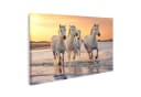 islandburner Leinwandbild Pferde Am Strand Bei Sonnenuntergang Bunt Bild 2