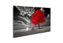 islandburner Wandbild Roter Baum am Strand Nacht Canvas Bild 2