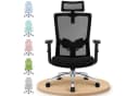 Adormii Ergonomischer Bürostuhl mit Lendenstütze & Kopfstütze Bild 2
