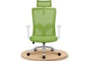 Adormii Ergonomischer Bürostuhl Grün mit verstellbarer Lendenstütze Bild 2