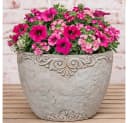 AltoBelli Blumentopf Adelina Zement Antik Grau Patina Bild 2
