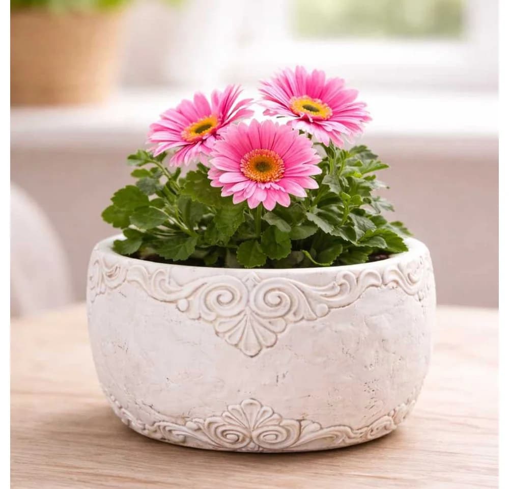 AltoBelli Blumentopf Adelina Zement Vintage Grau Patina