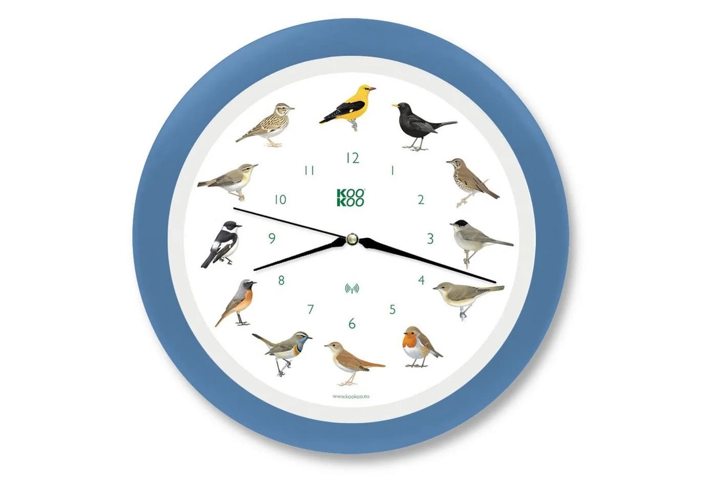 KOOKOO Wanduhr Singvögel Blau Vogelstimmen
