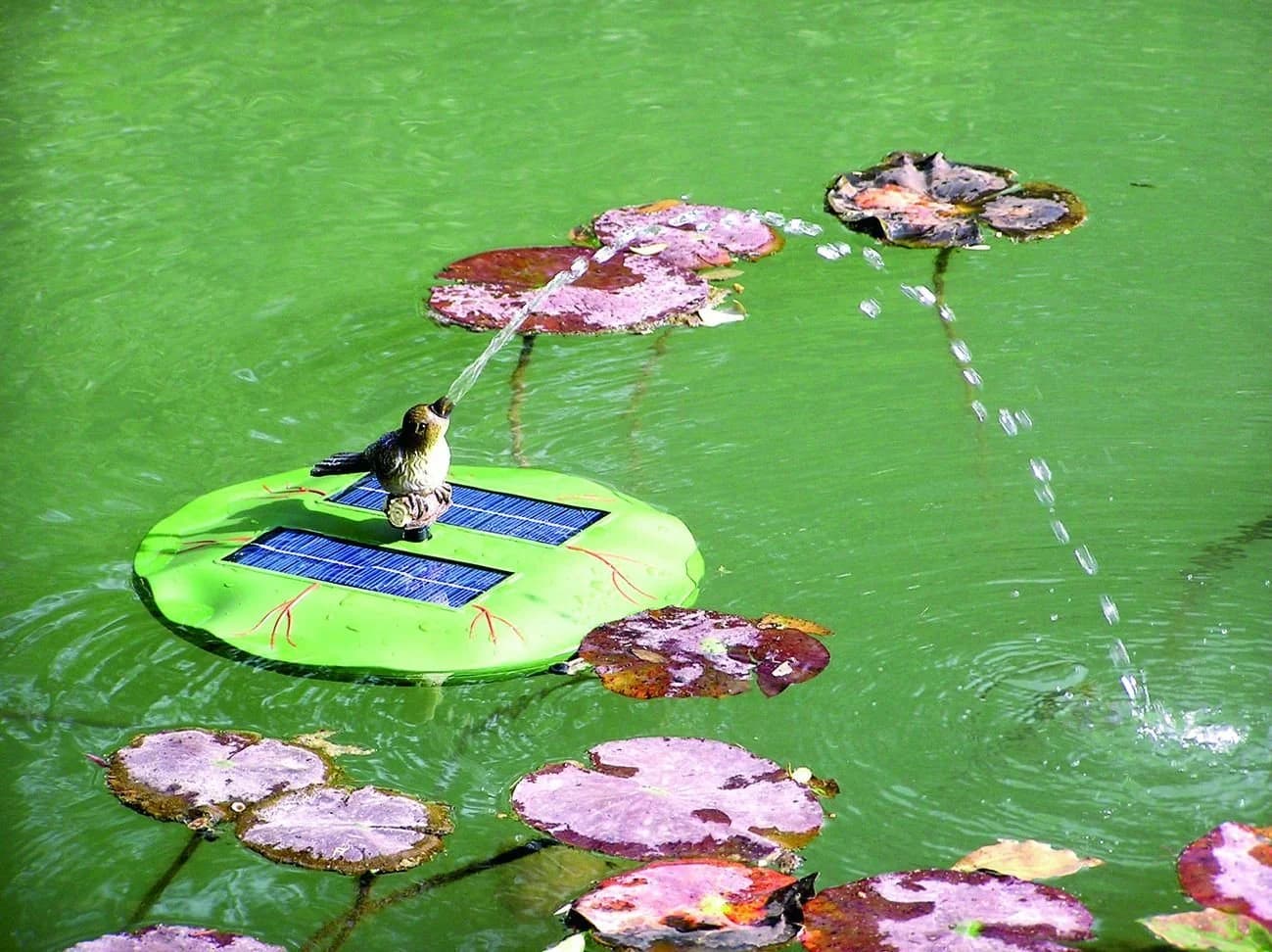 esotec Solarpumpe Esotec 101770 Solar Teichpumpe Seerose - Bild 4
