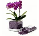 colomi Orchideentopf transparent mit Granulat Set Bild 2