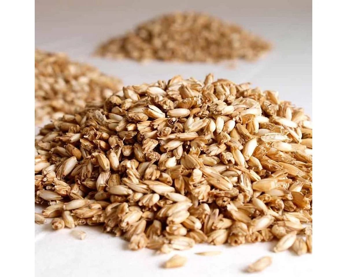 ÖKO Planet Dinkelkörnerkissen Bio-Baumwolle beige - Bild 3