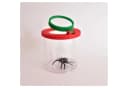 EDUPLAY Lupendose mit Plastikspinne Bild 1