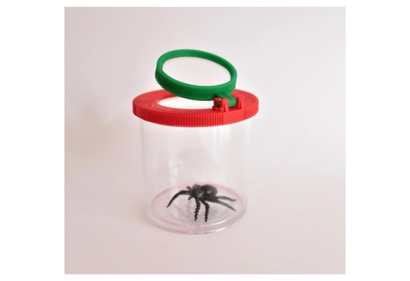 EDUPLAY Lupendose mit Plastikspinne